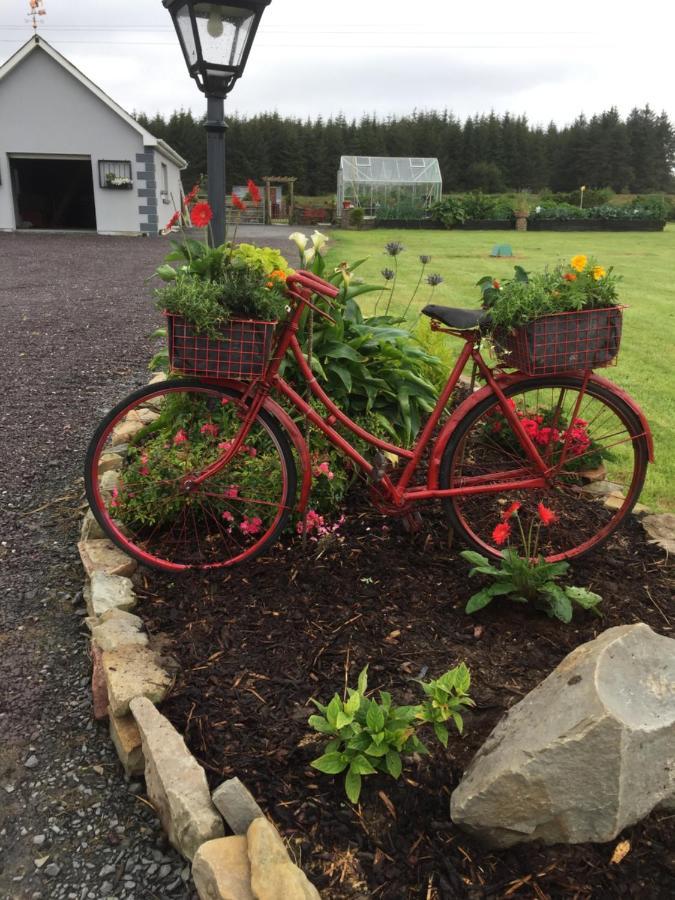 Lyntom House B&B Limerick Junction Exterior foto